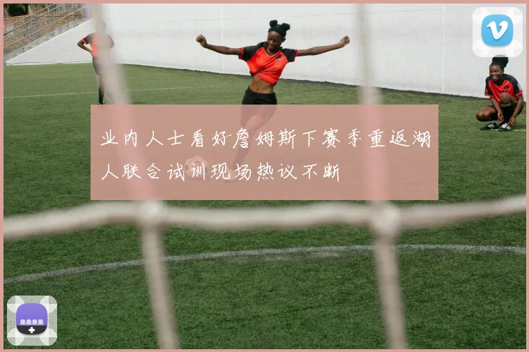 业内人士看好詹姆斯下赛季重返湖人联合试训现场热议不断